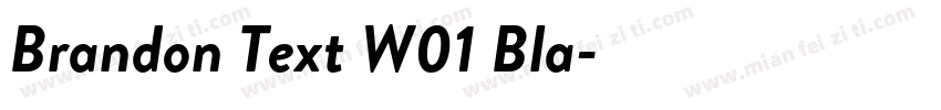 Brandon Text W01 Bla字体转换